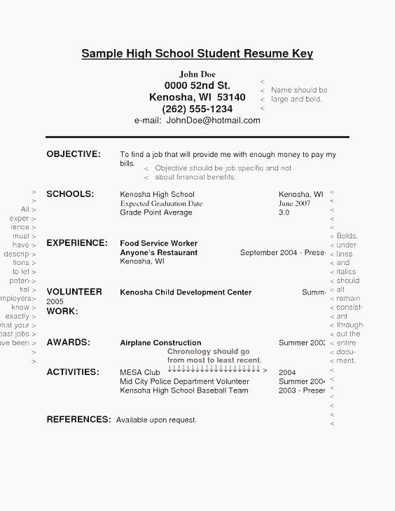 A Perfect Resume Format  