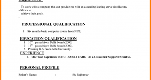 Resume Format Used In India 