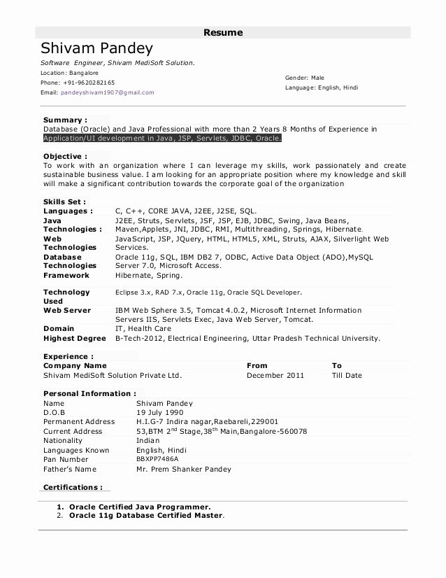 5 Years Experience Resume Format  
