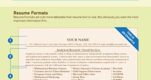Resume Format And Font Size 