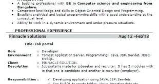 Resume Format 6 Years Software Engineer 
