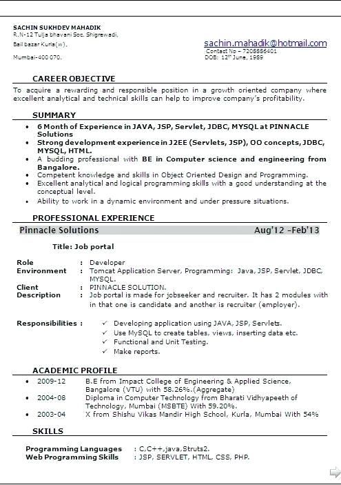 Resume Format 6 Years Software Engineer  