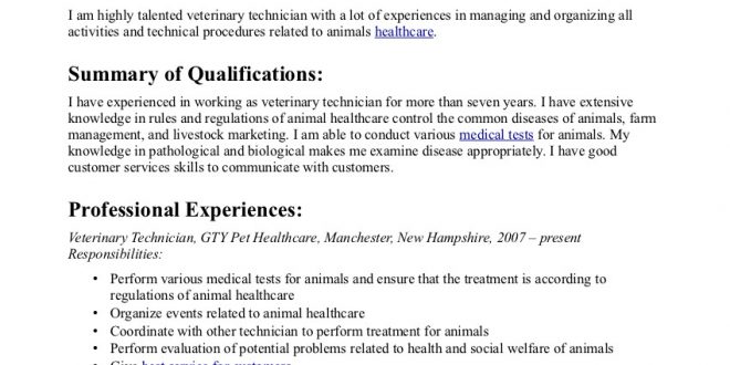 Cv Template Veterinary Student 