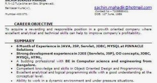 Resume Format For 6 Months Experience In Java 