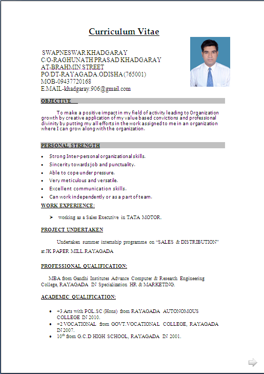 Resume Format Marketing 