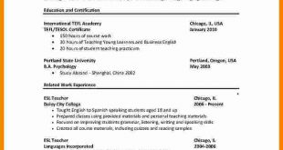 Resume Format Used In Usa 