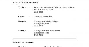 Example Of Resume Format 