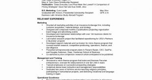 Resume Format For 5 Years Experience In Operations 